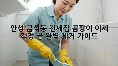 안성 금석동 전세집 곰팡이, 이제 걱정 끝! 완벽 제거 가이드