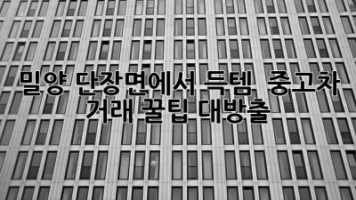 밀양 단장면에서 득템?! 🚗 중고차 거래 꿀팁 대방출!